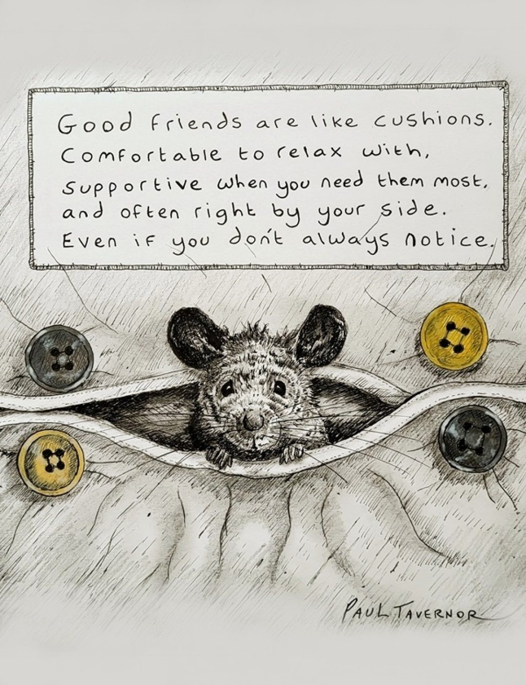 Cushion Buddy Portrait Copy