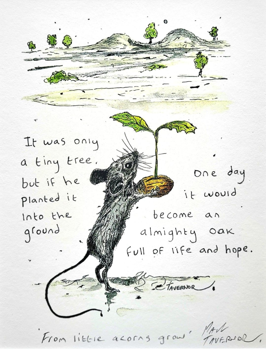 From little acrons grow Inktails mouse Paul tavernor copyright