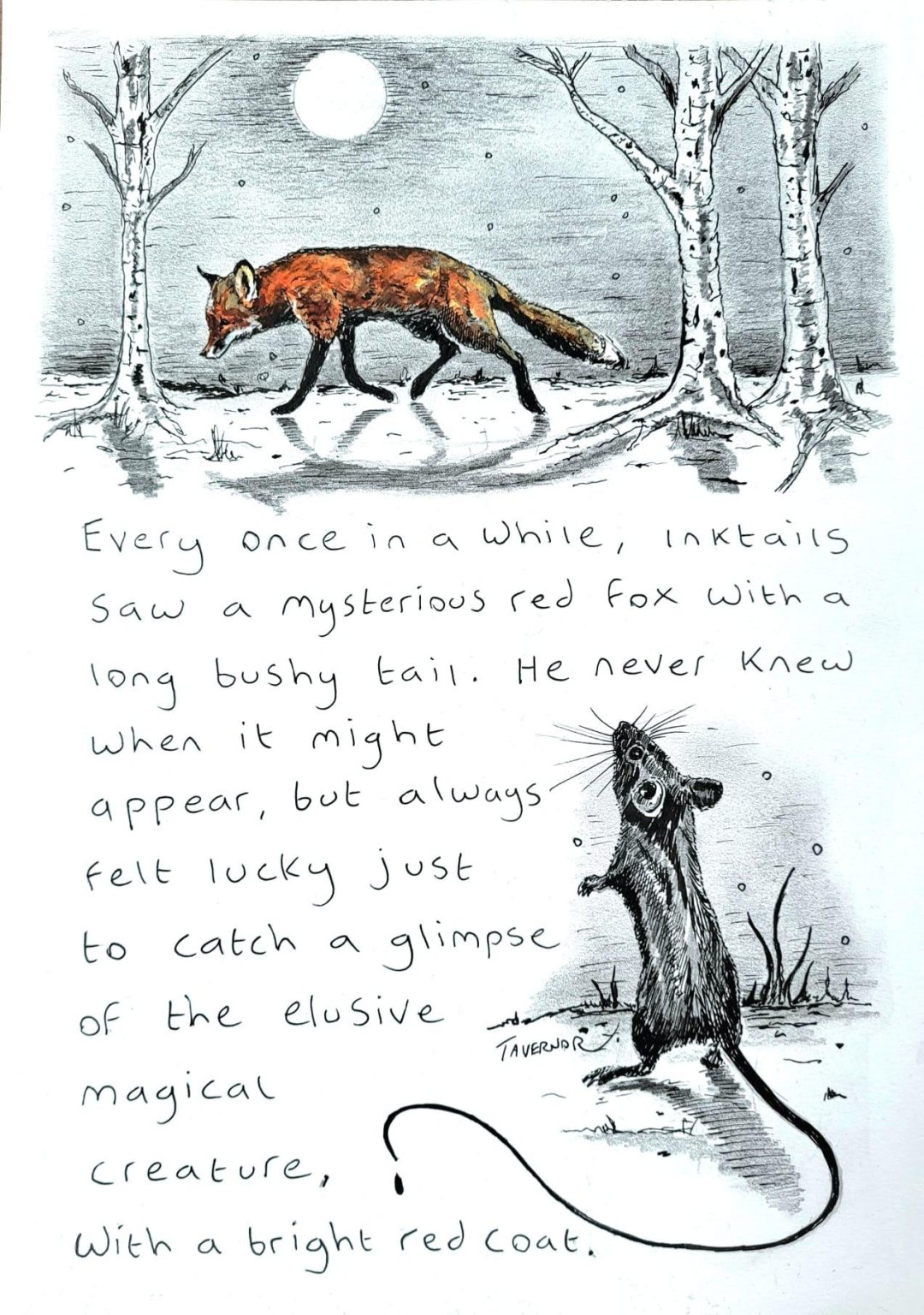 To glimpse a fox Inktails Mouse Paul Tavernor copyright