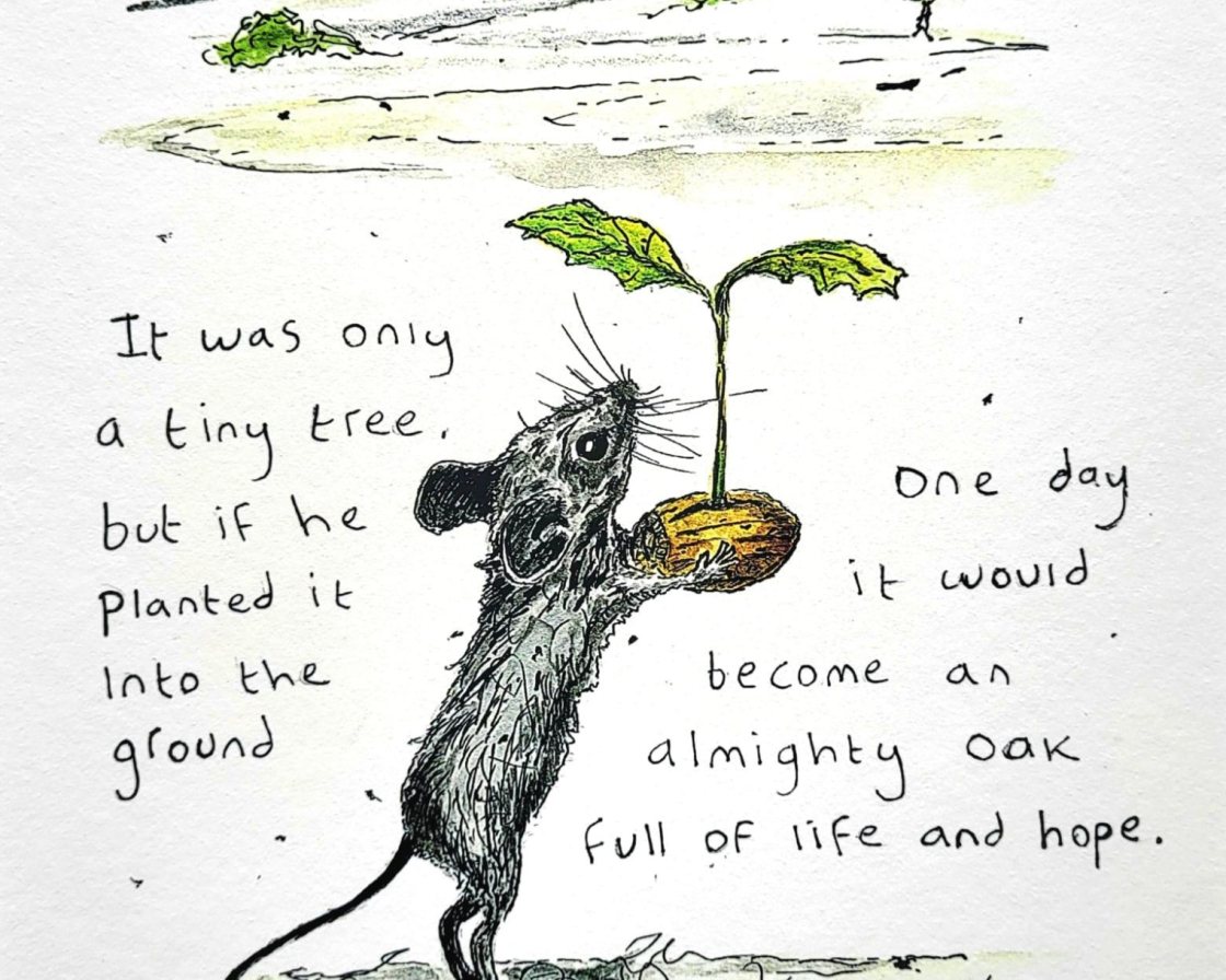 From little acorns grow from Paul Tavernor