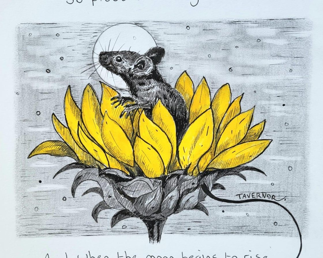 My sun, my stars and moon from Paul Tavernor