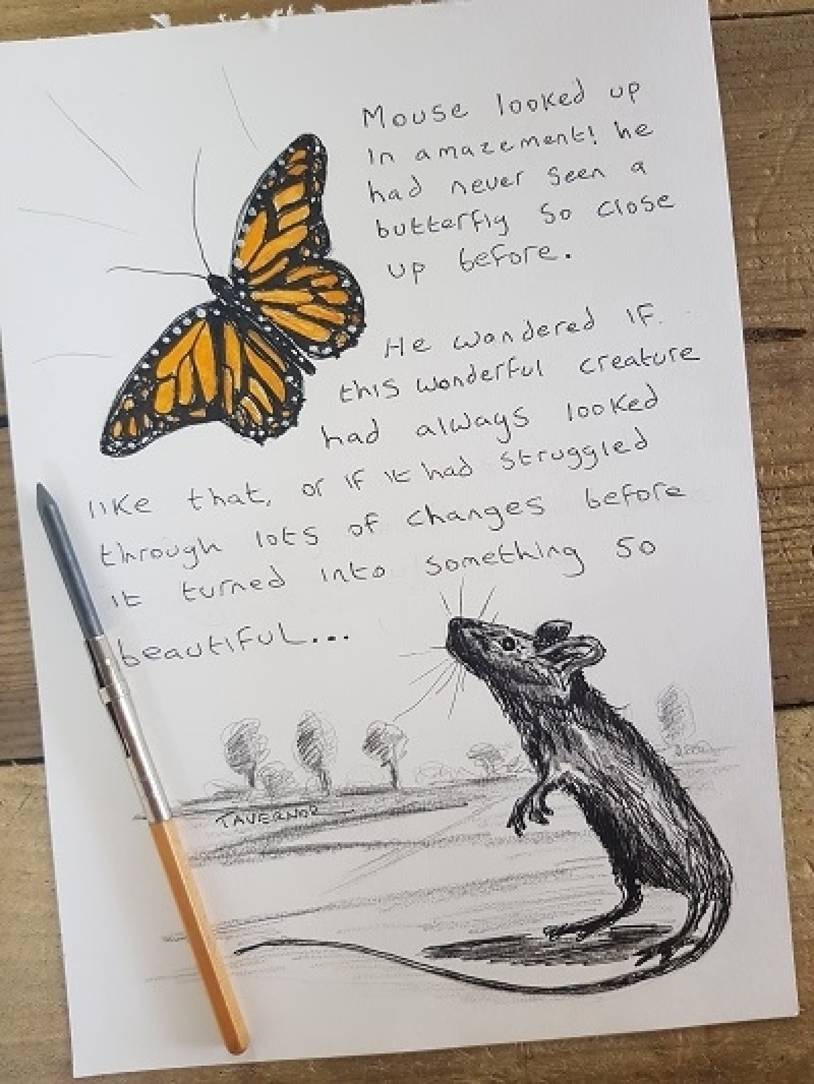 Becoming a butterfly Paul Tavernor
