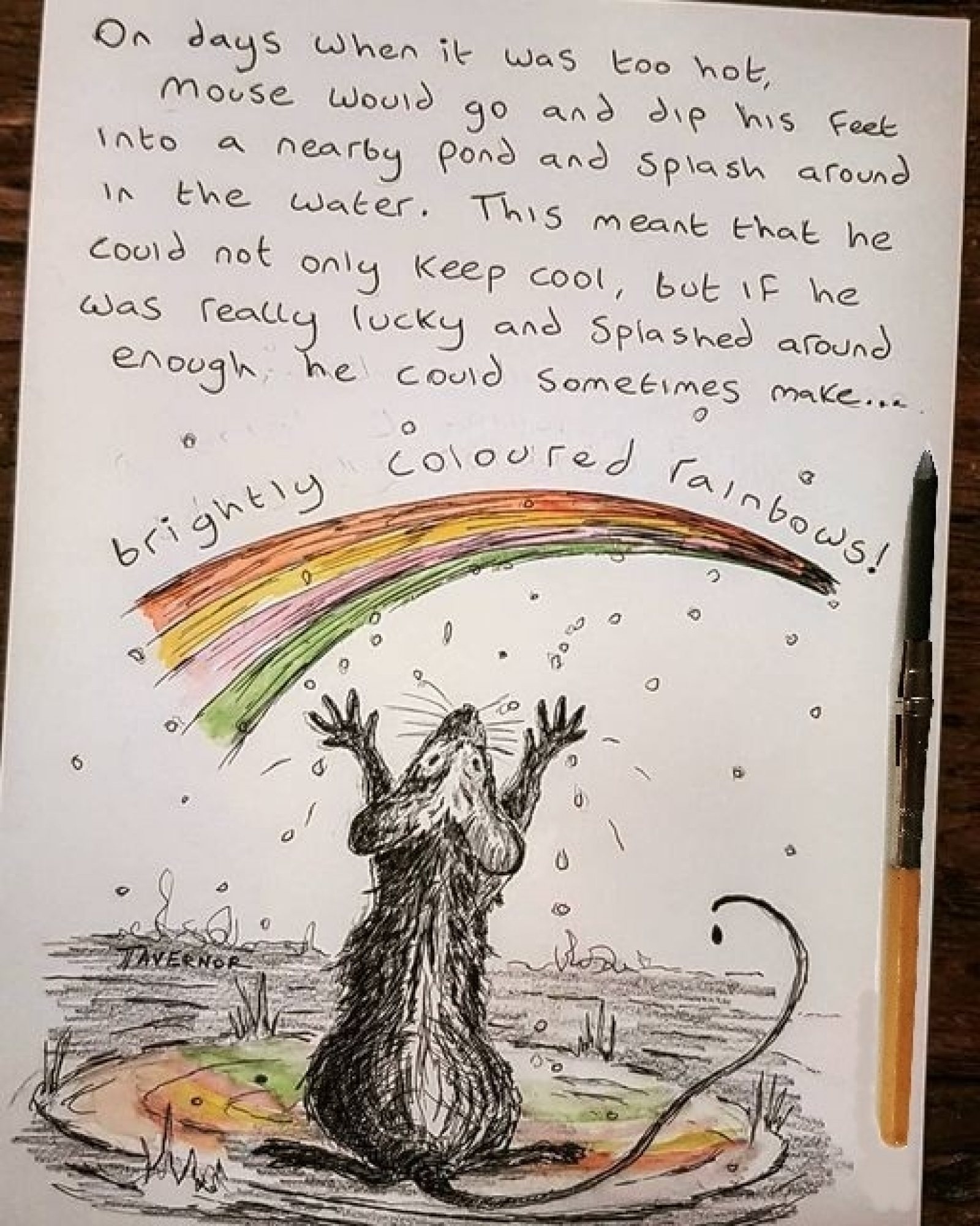 Rainbows Paul Tavernor