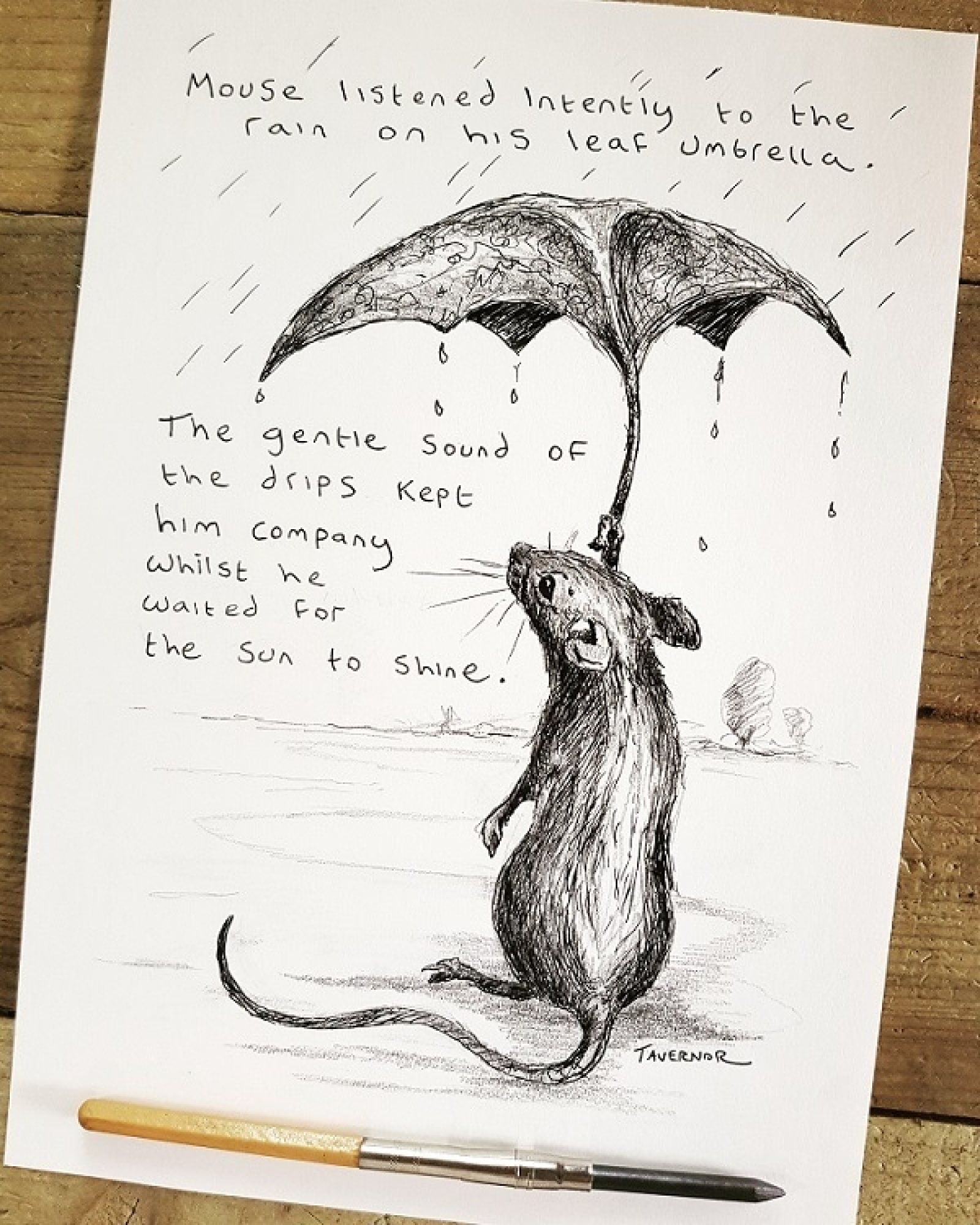 Raindrops Paul Tavernor