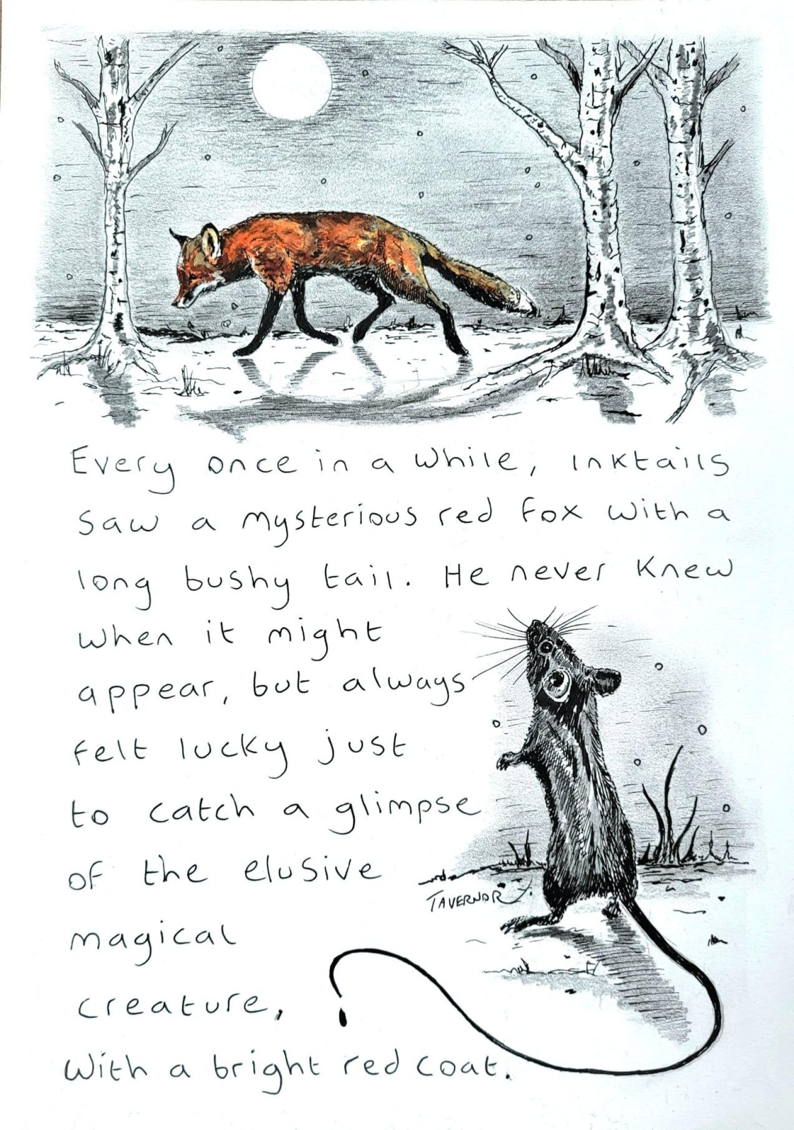 To glimpse a fox Inktails Mouse Paul Tavernor copyright