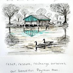 Reflections in the water - Poynton Pool