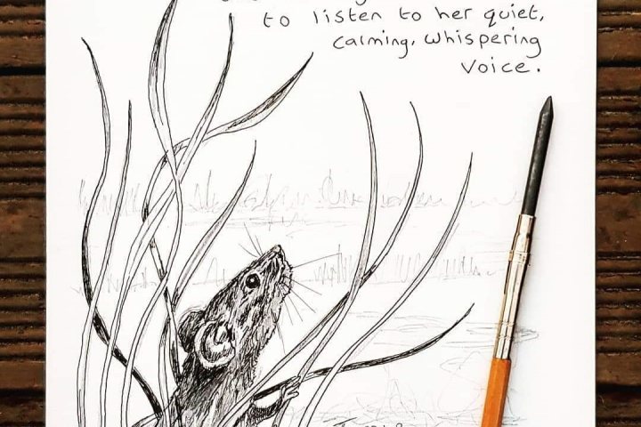 Natures whispers