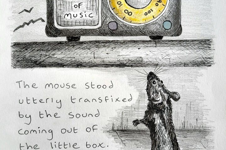 The beautiful sound of music