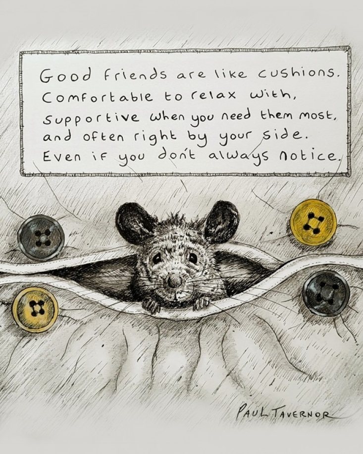 Cushion Buddy by Paul Tavernor